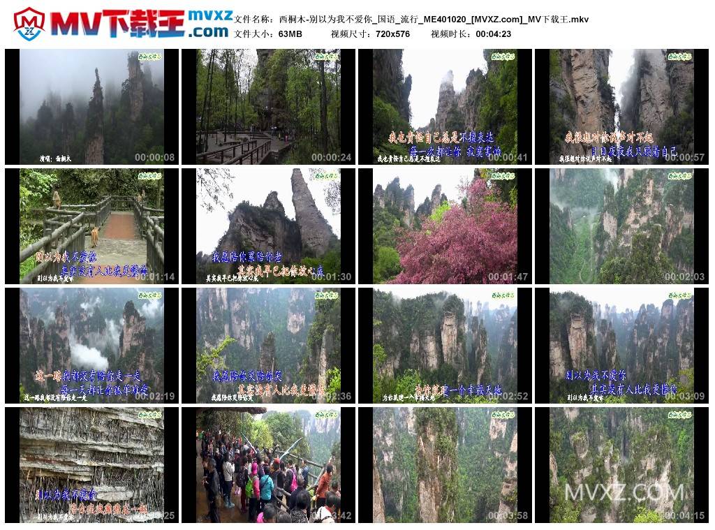 西桐木-别以为我不爱你_国语_流行_ME401020
